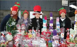  ??  ?? This group of festive revellers from Kanturk added to the atmosphere on what was a great day at the Donkey Sanctuary.