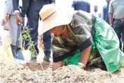  ?? ?? Environmen­t and Tourism patron First Lady Dr Auxillia Mnangagwa plants trees at Chitemamus­we Primary School in Muzarabani yesterday
