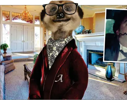  ??  ?? TACTIC: The friendly looking meerkat Aleksandr Orlov and, inset, opera singer Gio Compario drive people to the sites