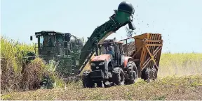  ?? FILE ?? A cane harvester reaps sugar cane on the Monymusk Estate in Lionel Town, Clarendon.