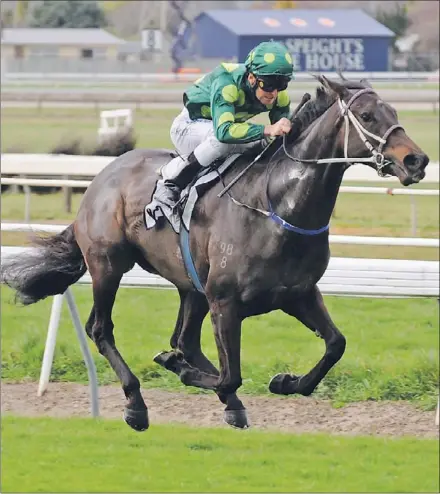  ??  ?? Awapuni filly Capital Diamond and rider Jonathan Riddell are a form combinatio­n for the New Zealand Oaks at Trentham tomorrow. Photo: RACE IMAGES