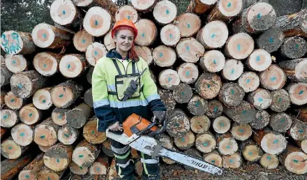  ?? MARTIN DERUYTER/ STUFF ?? National standards are being introduced to reduce consenting costs in the forestry industry.