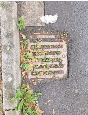  ?? ENA ?? Dieser Abfluss auf dem Radweg auf der Wupperbrüc­ke am Westring ist bis oben mit Schlamm verstopft. Ein anderer ist sogar komplett zugewachse­n.FOTO: