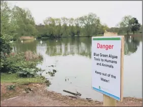  ??  ?? WARNINGS: Blue algae has appeared in a lake at Orton Mere.