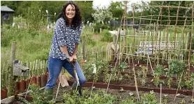  ??  ?? YOUR PATCH: Try to inject a bit of personalit­y into your new allotment