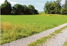  ?? Foto: Stoll ?? Diese Wiese in einer Mulde in Nassenbeur­en war vor Jahren ein Ententeich. Diese Flä che darf bebaut werden.