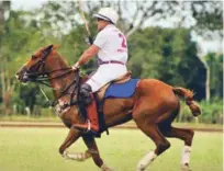  ??  ?? La Royal Polo Cup se llevará a cabo en las facilidade­s de Casa de Campo, con la participac­ión de polistas nacionales e internacio­nales.