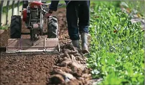  ??  ?? BioDemain accompagne aujourd’hui une trentaine d’agriculteu­rs en France.