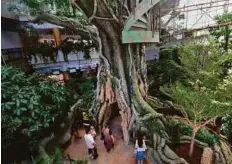  ?? Virendra Saklani/Gulf News ?? Visitors can explore the biodome’s four floors via a spiral walkway around the giant tree with aerial passageway­s to the tree’s gargantuan trunk.