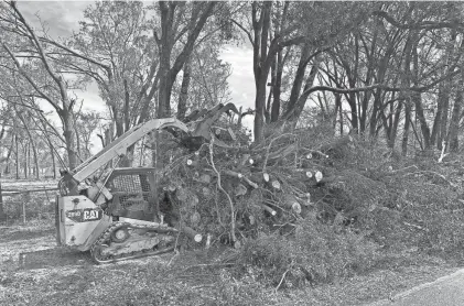  ?? JEFF BURLEW/TALLAHASSE­E DEMOCRAT ?? Crews remove a massive amount of fallen trees from a residence in rural Lafayette County, Fla., in September 2023, nearly a week after Hurricane Idalia made landfall.