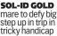  ?? ?? SOL-ID GOLD mare to defy big step up in trip in tricky handicap