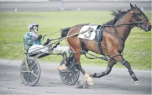  ?? JASON MALLOY • THE GUARDIAN ?? Time To Dance, with Mark Campbell in the sulky, prepares for a race in June at Red Shores at the Charlottet­own Driving Park. The team has the rail in the Governor’s Plate July 10 at Red Shores at the Summerside Raceway.