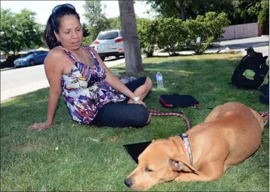  ?? GARY NYLANDER/The Daily Courier ?? Crystal Duncan from Williams Lake, who is on evacuation alert, sits in the shade with her dog, Krinkle, outside the Emergency Social Services centre at the Salvation Army Church on Thursday.