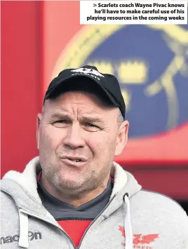  ??  ?? > Scarlets coach Wayne Pivac knows he’ll have to make careful use of his playing resources in the coming weeks