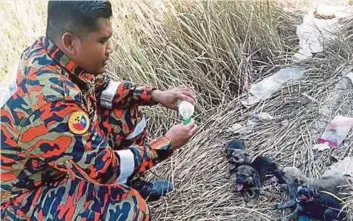  ??  ?? BOMBA memberi minuman kepada anak anjing yang ditemui dalam kawasan kebakaran di Padang Serai.