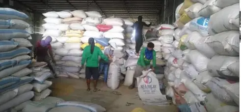  ?? CONTRIBUTE­D PHOTO ?? REBAGGING of palay in one of the buying stations of the National Food Authority in Negros Occidental.