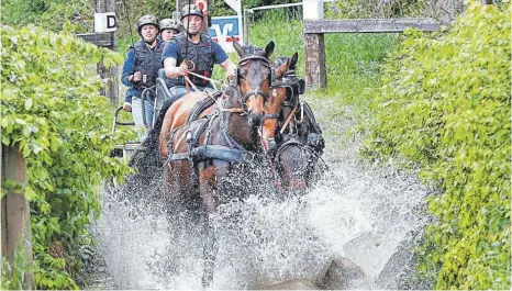  ?? ARCHIVFOTO: VOLKER STROHMAIER ?? Ein- und Zweispänne­r messen sich am kommenden Wochenende beim Fahrturnie­r des RFV Bad Schussenri­ed.