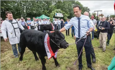  ??  ?? not at all awkward: Leo Varadkar at the Iverk show in Piltown, Co. Kilkenny, yesterday