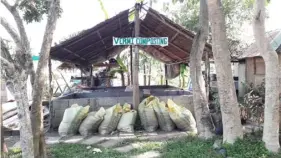  ??  ?? Sa Vermi Composting Facility naman dinadala ang mga basurang nabubulok upang maging organic fertilizer.