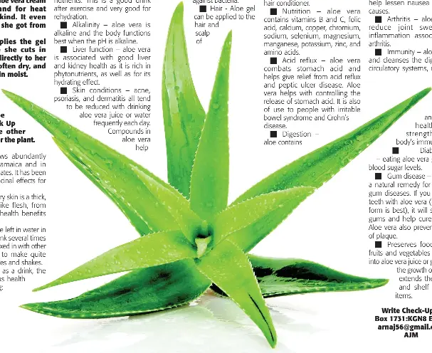 aloe vera saft supermarkt All Groo Aloe Vera Getränk