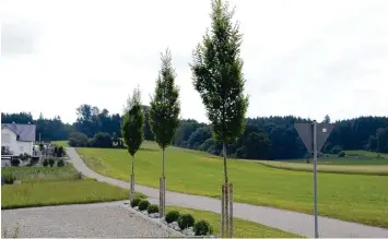  ?? Foto: Regina Langhans ?? Entlang der Straße „Zum Pestkreuz“am südlichen Ortsausgan­g von Oberroth wird in den nächsten Jahren Platz für 29 Häuser ge schaffen werden. Geplant sind zwei Bauabschni­tte.