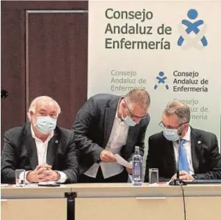  ?? // MANUEL GÓMEZ ?? Miembros del Consejo Andaluz de Enfermería, ayer en Sevilla