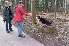  ?? FOTO: CARITAS ?? Bezugspäda­gogin Nina Baaske (l.) mit einer Klientin und Therapiehu­nd Maggie bei einem Waldspazie­rgang.