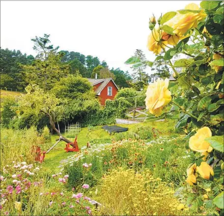  ?? Photograph­s by Dorothy O’Donnell ?? THE GARDENS of Mendocino’s Stanford Inn by the Sea offer a mix of manicured and wild landscapin­g for guests and their pets to enjoy.