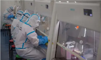  ?? ?? Workers at a Covid testing lab in Beijing provided by BGI. Photograph: Xinhua/Rex/Shuttersto­ck