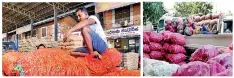  ?? ?? Prices of veggies were coming down at Dambulla economic centre.
Pix by Kanchana Kumara