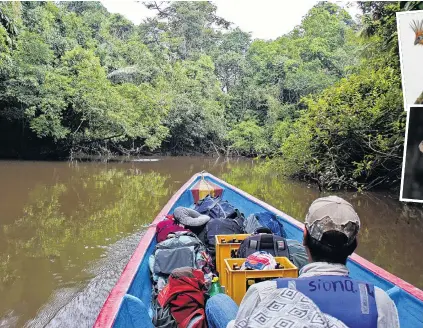  ?? PHOTOS: DOUG HANSEN/TNS ?? Forest highway . . . Going anywhere in the Cuyabeno Reserve in Ecuador’s Amazon requires long but exhilarati­ng boat rides.