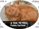  ?? ?? A TAIL TO TELL Paddy Garfield