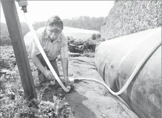  ??  ?? Alfredo Yedra, criador de porcinos, es uno de los beneficiar­ios del programa de biodigesto­res en el barrio de San Marcos, en Santa Ana Tlacotenco, Milpa Alta ■ Foto Roberto García