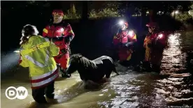  ??  ?? Animal rescuers were able to bring two ponies to safety