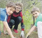  ?? MILLICENT MCKAY/JOURNAL PIONEER ?? Jaden Moisan, left, Mason White and Clay Ramsay finish filling in a hole with soil after placing a sapling in it. The trio, along with a number of other kids from Generation XX helped the Rotary Club of Summerside plant trees on Friday in a celebratio­n...