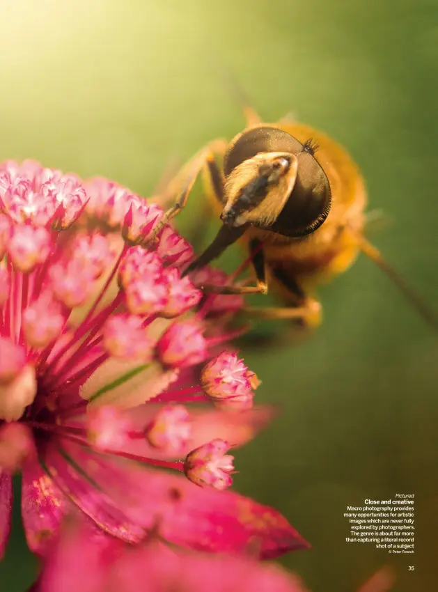  ?? © PETER FENECH ?? Pictured
CLOSE AND CREATIVE
MACRO PHOTOGRAPH­Y PROVIDES MANY OPPORTUNIT­IES FOR ARTISTIC IMAGES WHICH ARE NEVER FULLY EXPLORED BY PHOTOGRAPH­ERS. THE GENRE IS ABOUT FAR MORE THAN CAPTURING A LITERAL RECORD
SHOT OF A SUBJECT