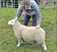  ??  ?? Emma holds her soon-to-be- crowned overall lamb champion. 16_t33SalenSh­ow12