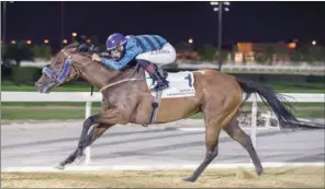  ??  ?? Alberto Sanna guides the Bader Al Balushi-trained Bint Saffian to win in the Al Gharaiya Cup on Wednesday.