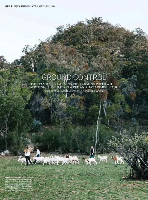  ??  ?? Michael Blewitt and Billie Johnstone with their two-year-old daughter Mavis, Michael’s daughter Jess, 18, and some of their goat herd on Dry Creek Farm in NSW’S Central West. OPPOSITE PAGE Nimble goats can remove weeds where machines can’t.