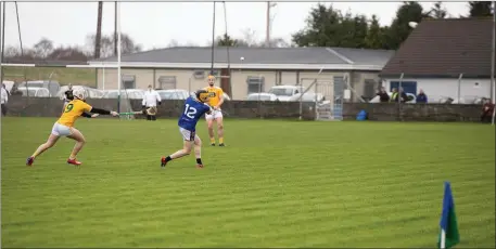  ??  ?? Wicklow’s Danny Staunton fires over a sweet score in the NHL Division 2A clash with Antrim.