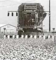  ?? Jim Watkins / Associated Press file photo ?? World cotton consumptio­n is expected to surge 13 percent, the biggest increase in 60 years, USDA says.