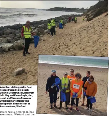  ??  ?? Volunteers taking part in Seal Rescue Ireland’s Big Beach Clean in Courtown. RIGHT: (from left) May and Karen Doyle, Jac, Janet and Shannon Devereux with Rosemarie Morris who took part in a beach clean at Rostoonsto­wn, Wexford.