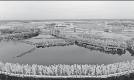  ?? JIN HAOYUAN / XINHUA ?? An aerial view of Baiyangdia­n Lake near Xiong'an New Area.