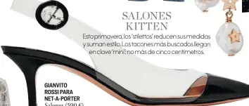  ??  ?? GIANVITO ROSSI PARA NET-A-PORTER Salones (590 €). FENDI