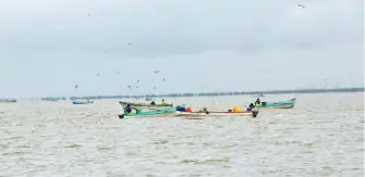  ?? ALFREDO MÁRQUEZ /EL SOL DE TAMPICO ?? Denuncian depredació­n de cientos de pescadores que usan técnica de arrastre