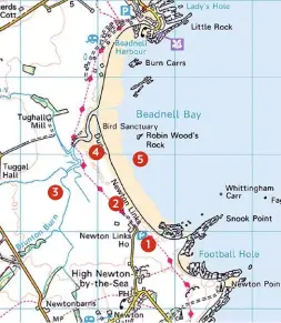  ??  ?? WHERE TO WATCH
1 Start your birding in the car park with a scan around the Links House to look for garden 3 4 2 5 1