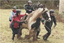  ??  ?? 0 Horses provide life-changing fun and therapy