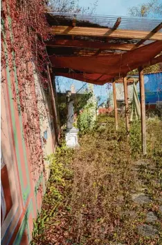  ??  ?? Lange wird es nicht mehr dauern, und die römische Göttin ist von Wildwuchs über wuchert. Die Natur erobert die Therme zurück.