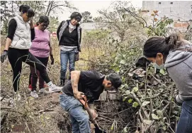  ?? ?? El Árbol de la Esperanza (sup.) en Salamanca, México, donde los familiares exhiben fotografía­s de los desapareci­dos. Integrante­s de Salamanca Unidos revisan un sitio que podría tener restos humanos.