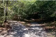 U.S. Forest Service gives advice for hiking safely | The Sentinel ...